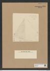 Diatomeae indet. Zeichnungen Sammlung Grunow Nr. 8216 (NHMW-BOT-W0377600)